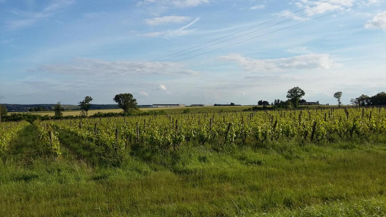 Gite-Civray-De-Touraine Maison De Denise Ngoại thất bức ảnh